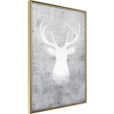 Poster - White Shadow