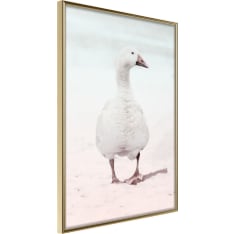 Artgeist Walking Goose juliste
