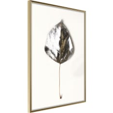 Poster - Silvery Leaf