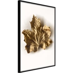 Artgeist Dried Maple Leaf juliste