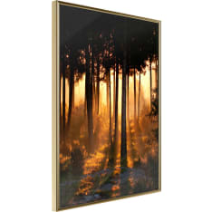 Artgeist Dark Tree Tops juliste