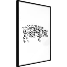 Poster - Curly Pig