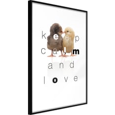 Artgeist Cute Chicks juliste