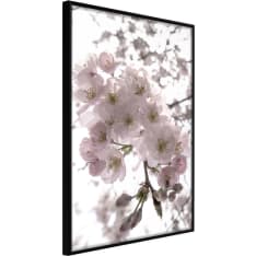 Artgeist Spring Visit poster