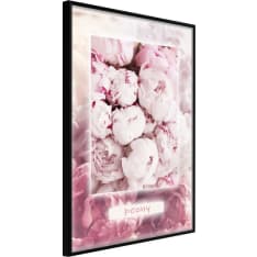 Artgeist Scent Of Peonies juliste