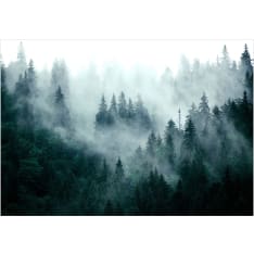 Artgeist Mountain Forest (Dark Green) itseliimautuva fototapetti
