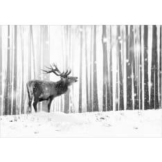 Artgeist Deer in the Snow (Black and White) itseliimautuva fototapetti