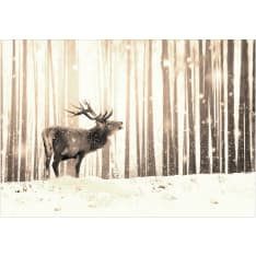 Artgeist Deer in the Snow (Sepia) itseliimautuva fototapetti