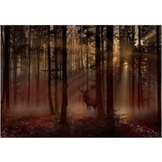 Artgeist Mystical Forest - First Variant itseliimautuva fototapetti