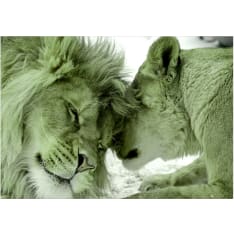 Artgeist Lion Tenderness (Green) itseliimautuva fototapetti