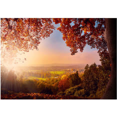 Artgeist Autumn Delight fototapetti