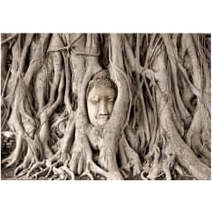 Artgeist Buddha's Tree fototapetti