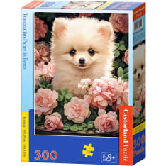 Castorland Pomeranian Puppy in Roses 300p jigsaw puzzle
