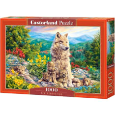 Castorland New Generation 1000p jigsaw puzzle