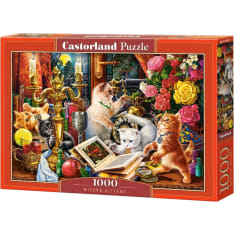 Castorland Wizard Kittens 1000p puzzle