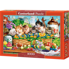 Castorland Napping Kittens 1000p Puzzle