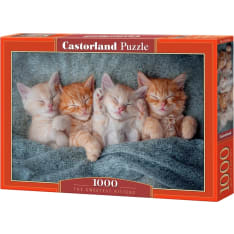 Castorland The Sweetest Kittens 1000p puzzle