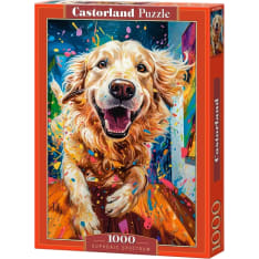 Castorland Euphoric Spectrum 1000p jigsaw puzzle