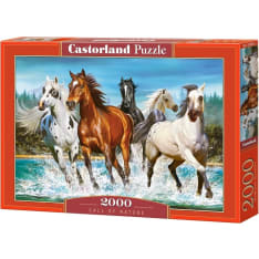 Castorland Call of Nature 2000p puzzle