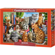 Castorland House of Cats 2000p Jigsaw Puzzle