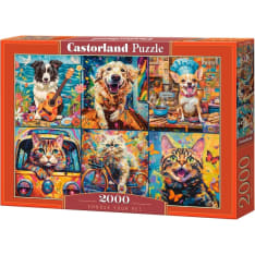 Castorland Choose Your Pet 2000p puzzle
