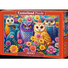 Castorland Flower Owl Meeting 3000p jigsaw puzzle