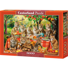 Castorland Cat Family Reunion 3000p puzzle
