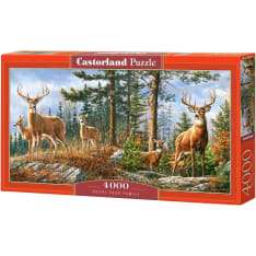 Castorland Royal Deer Family 4000p jigsaw puzzle