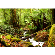 Artgeist Forest Brook fototapetti