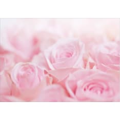 Artgeist Ocean of Roses fototapetti