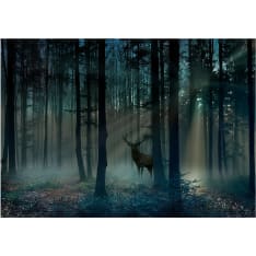 Artgeist Mystical Forest - Third Variant fototapetti