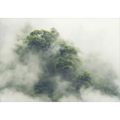 Artgeist Foggy Amazon fototapetti
