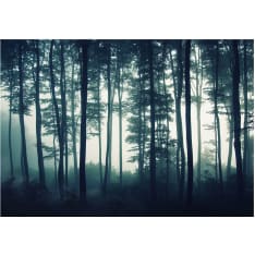 Artgeist Dark Forest fototapetti