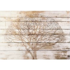 Artgeist Tree on Boards fototapetti