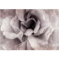 Artgeist Entrance to Bliss fototapetti