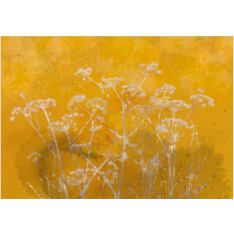 Artgeist Meadow Bathed in the Sun fototapetti