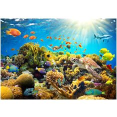 Artgeist Underwater Land fototapetti