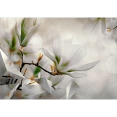 Artgeist Subtle Magnolias - Second Variant fototapetti