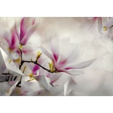 Artgeist Subtle Magnolias - Third Variant fototapetti