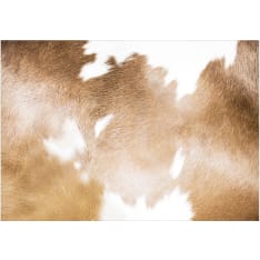 Artgeist Cow Patches fototapetti