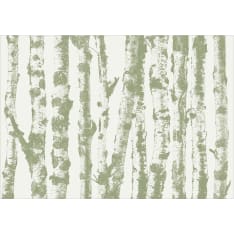Artgeist Stately Birches - Third Variant fototapetti
