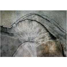 Artgeist Alphabet of Trees fototapetti