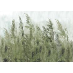 Artgeist Tall Grasses - Green fototapetti