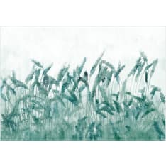 Artgeist Blue Ears of Wheat fototapetti