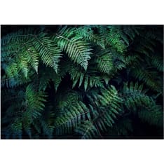 Artgeist In the Thicket fototapetti