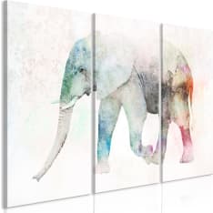 Artgeist Painted Elephant taulusetti