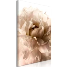 Artgeist Soft Petals  taulu