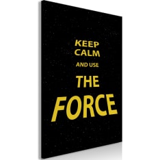 Artgeist Keep Calm and Ouse the Force (1 Part) Vertical taulu