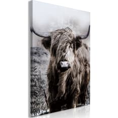 Artgeist Highland Cow in Sepia taulu