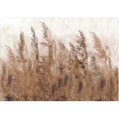 Artgeist Tall Grasses - Brown itseliimautuva fototapetti